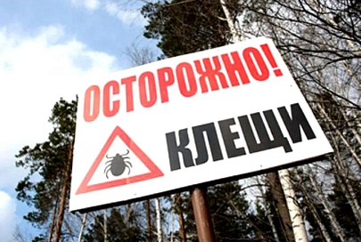 На Гомельщине рекордно рано проснулись клещи, есть первые жертвы